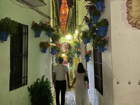 皇家贝蒂斯新闻,皇家贝蒂斯赛程赛果,皇家贝蒂