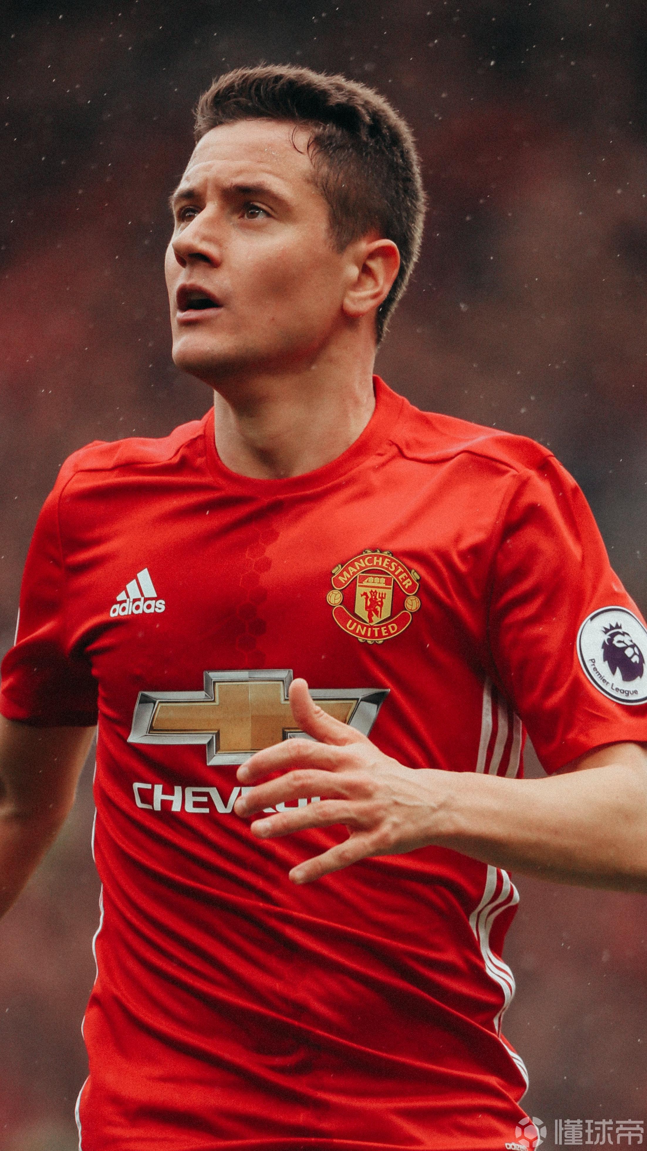 诞辰星安德尔埃雷拉1989814