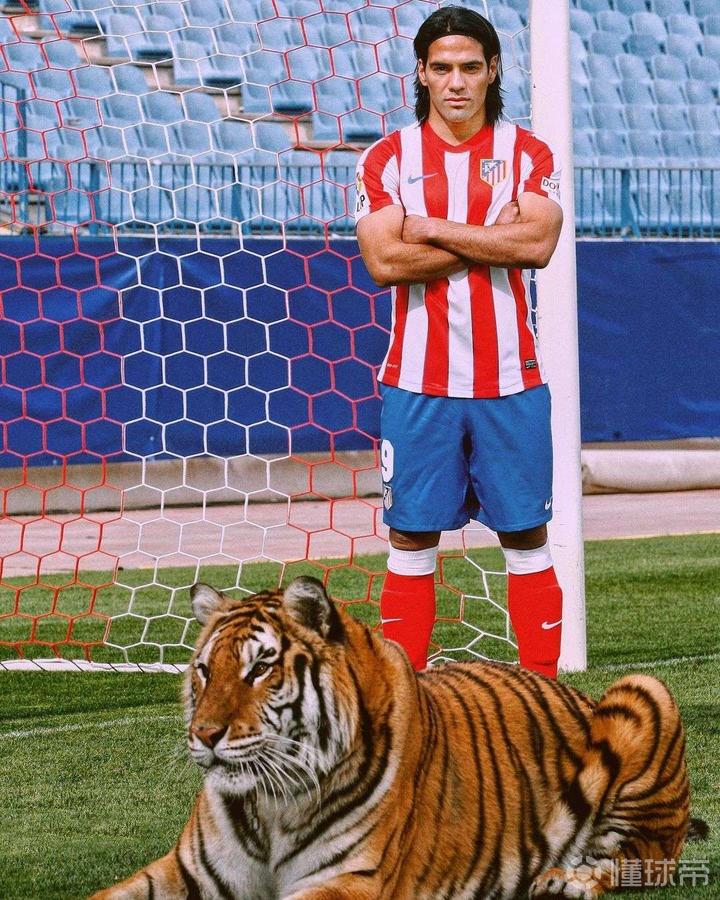 老照片法尔考真老虎